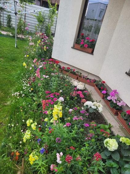 Casă cu 4 camere cu Teren 383 Mp în Albești