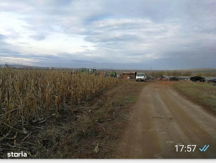 De vanzare 10.000 mp teren agricol intravilan, mun. Sibiu - 6