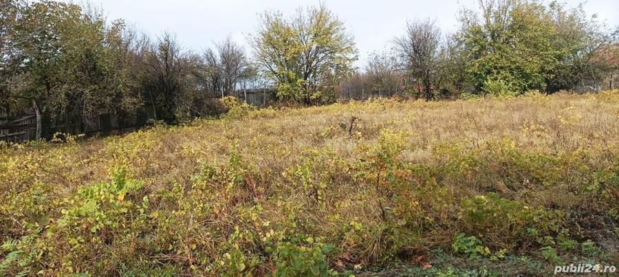 Casă cu 3 camere cu Teren 2493 Mp în Pădina