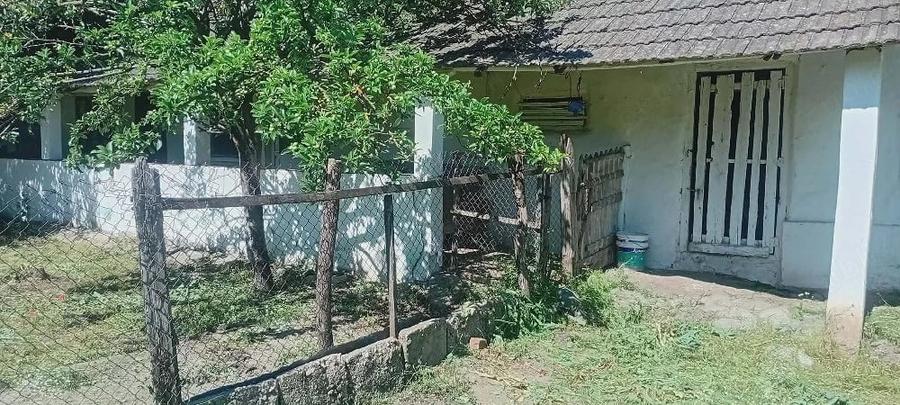 Casă cu 5 camere cu Teren 1600 Mp în Afumați