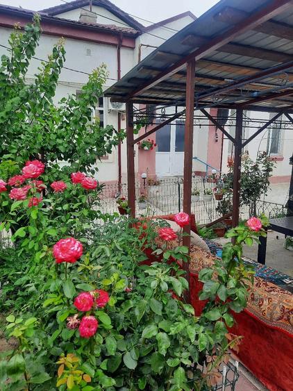 Casă cu Teren 165 Mp în Central