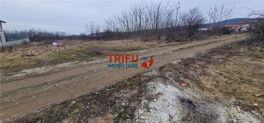 Teren Construcții intravilan de 1091 mp, în Cetate