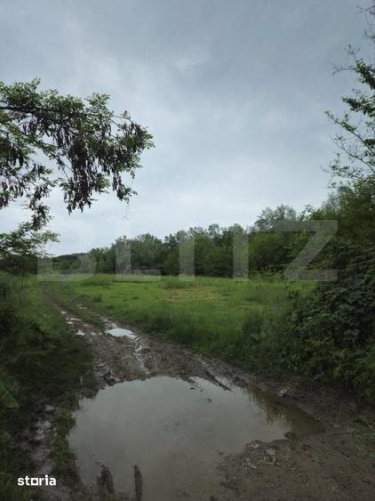 Teren de 3355 mp, în Răzvad