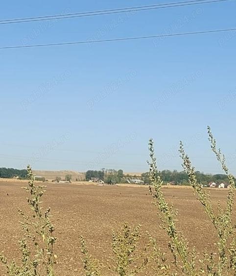 Teren de 8400 mp, în Central
