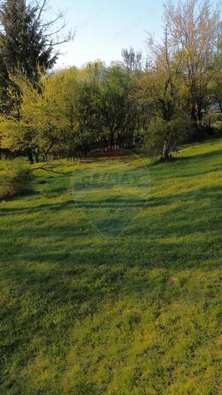 Teren de 15459 mp, în Bughea de Sus