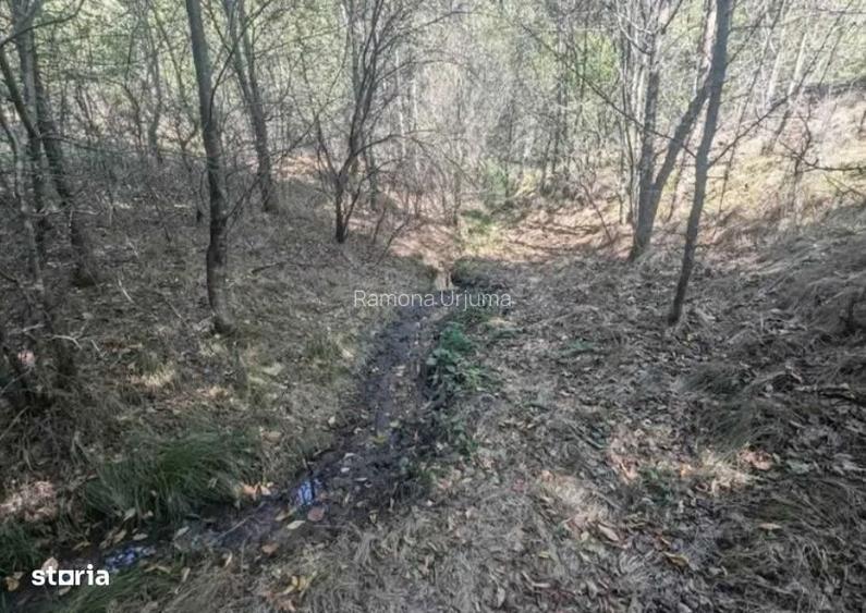 Teren extravilan Loc. Valea Mare, jud. Valcea