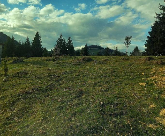 Teren de 1000 mp, în Prundu Bârgăului
