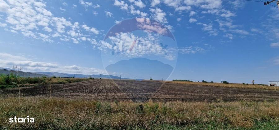 Teren intravilan, 4.874mp, DN E 85, com. Nicolae Balcescu, Bacau - 5