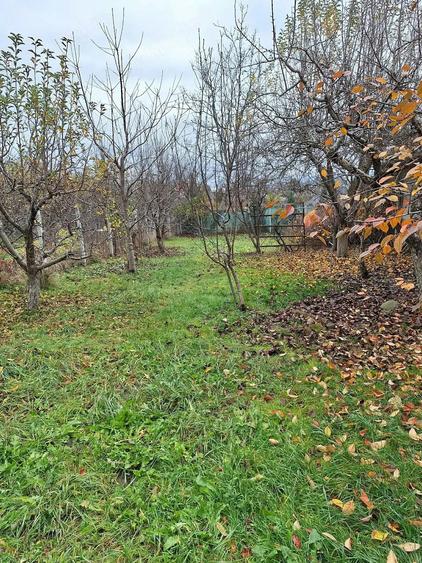 Casă cu Teren 1200 Mp în Central