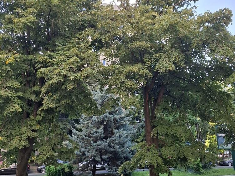 Garsonieră semidecomandată în Drumul Taberei