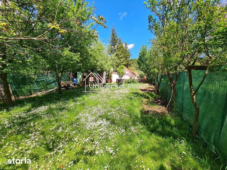 Casă cu 1 camere cu Teren 559 Mp în Sava