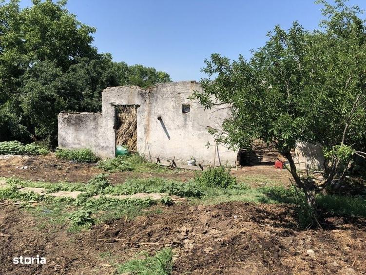 Spațiu comercial, în Cetatea