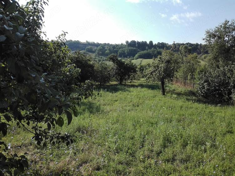 Casă cu 2 camere cu Teren 4120 Mp în Ilovu