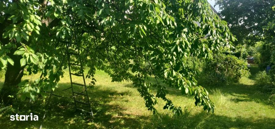 Casă cu 4 camere cu Teren 500 Mp în Gheorgheni