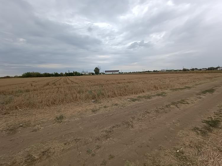 Teren Construcții intravilan de 18400 mp, în Tărtășești