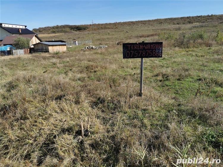 Teren de 5000 mp, în Ciurea