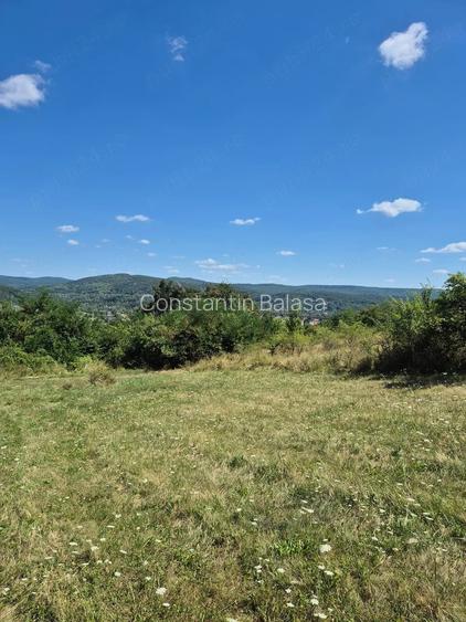 Teren panoramic 5.805 mp in Ciofrangeni, Arge? Natura, lini?te ?i acces facil