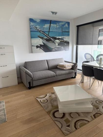 Apartament cu 2 camere semidecomandat, mobilat în Herăstrău