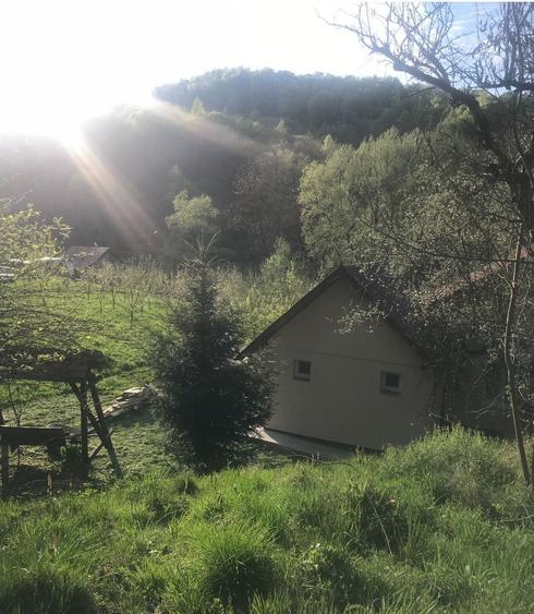 Casă cu 4 camere în Vlădești