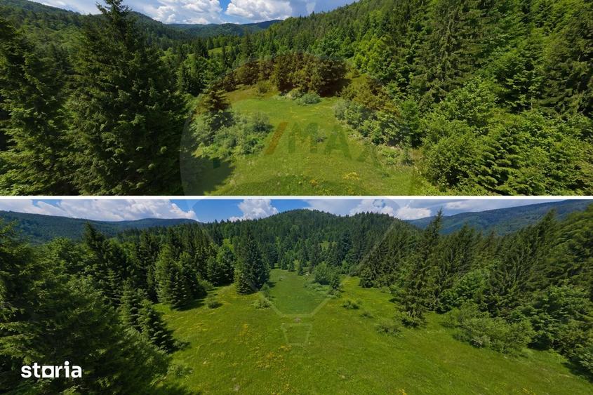 Teren de 2966 mp, în Arieșeni
