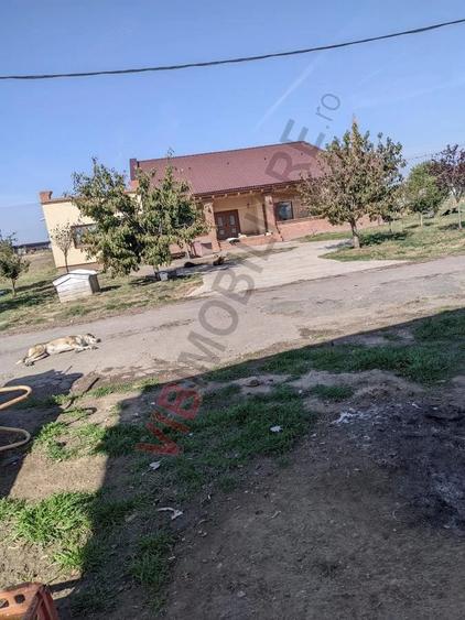 Ferma Zootehnica Satchinez, | 9,5 ha teren,vanzare sau schimb pentru jumatate din valoare - 11