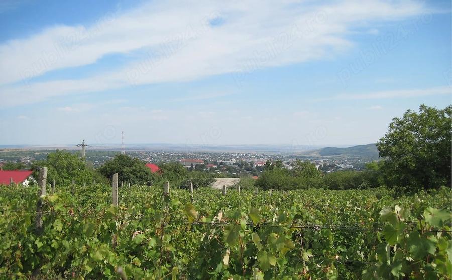 Teren de 4500 mp, în Central