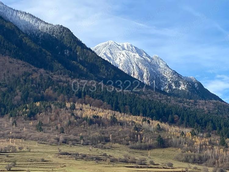 Casă cu 8 camere cu Teren 1200 Mp în Central