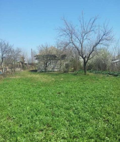 Casă individuală cu 3 camere cu Teren 2300 Mp în Luica