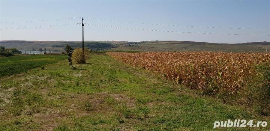Teren de 5500 mp, în Central