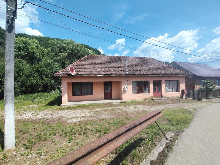 Imobil de vanzare Valea Muresului- judet Arad - 2