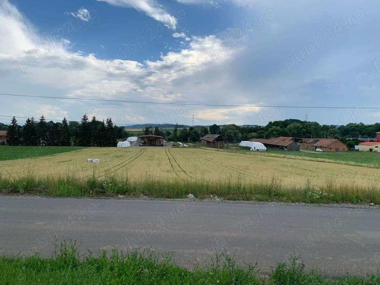 Teren de 10000 mp, în Arcuș