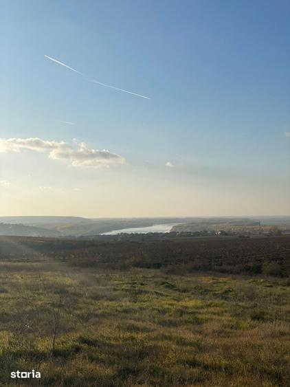 RASOVA Cochirleni Teren extravilan 38 Hectare comasat 100% - 5