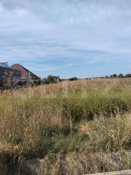 Teren Construcții intravilan de 5400 mp, în Matraca