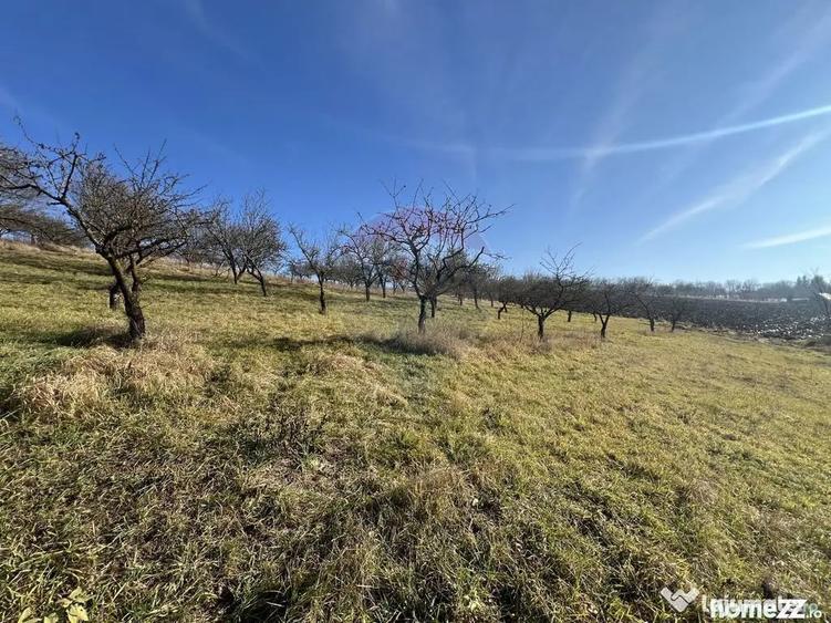 Teren de 34425 mp, în Bădeni