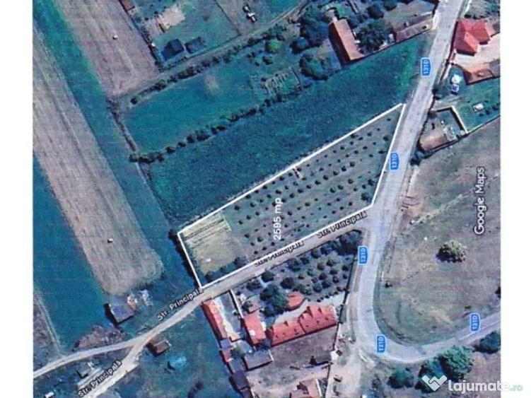 Teren de 2595 mp, în Bogata Olteană