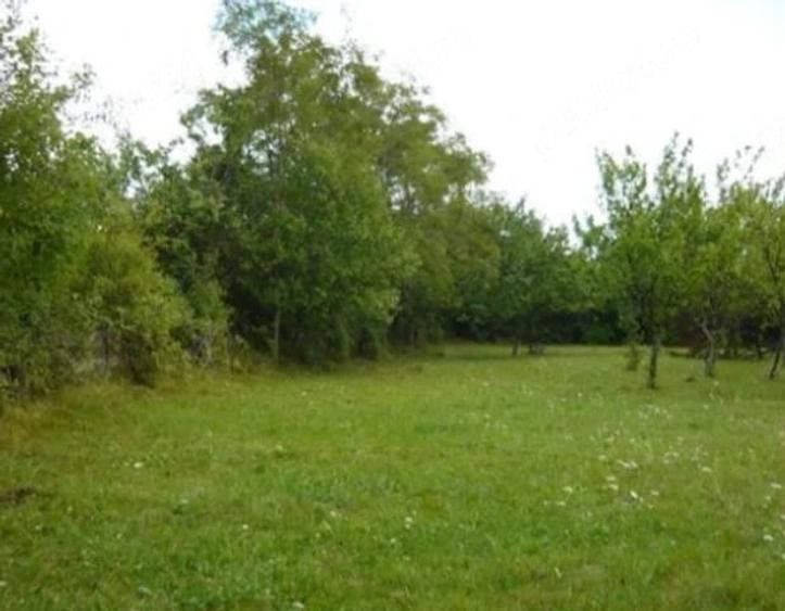 Teren de 3550 mp, în Teișani