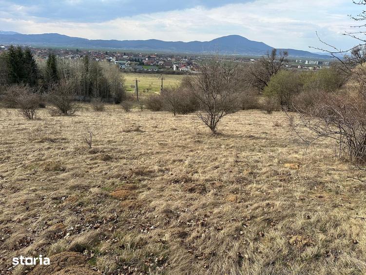Teren de 6000 mp, în Cristian