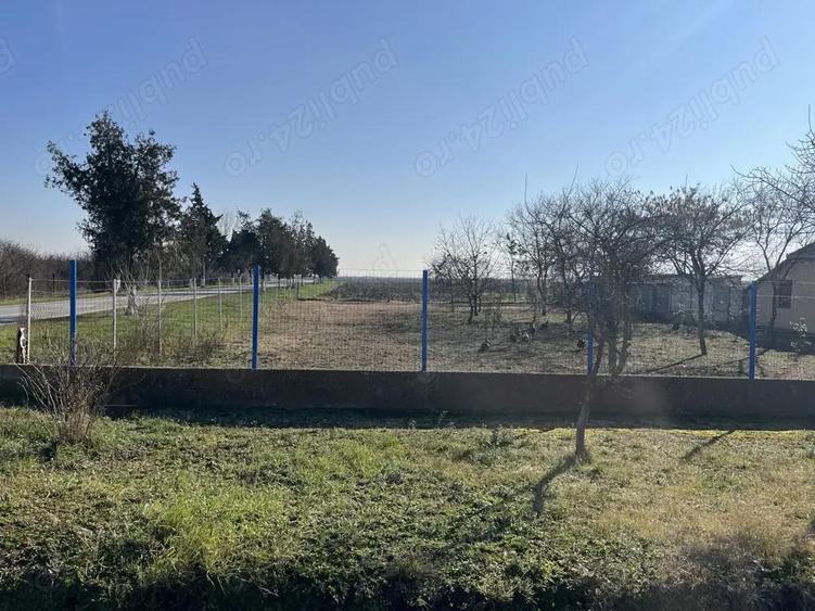 Teren în Sânmartinu Sârbesc