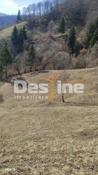 Teren de 5000 mp, în Șinca