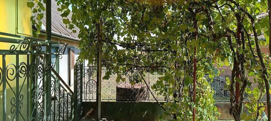 Casă cu 3 camere cu Teren 3000 Mp în Murgești