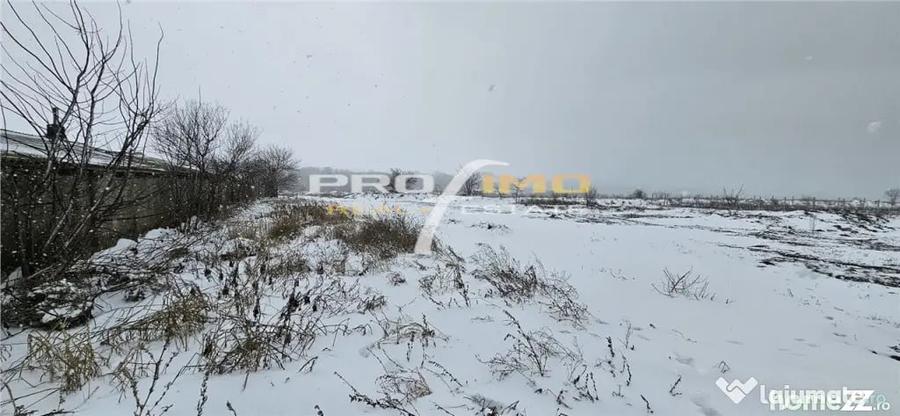 Teren de 600 mp, în Palazu Mare