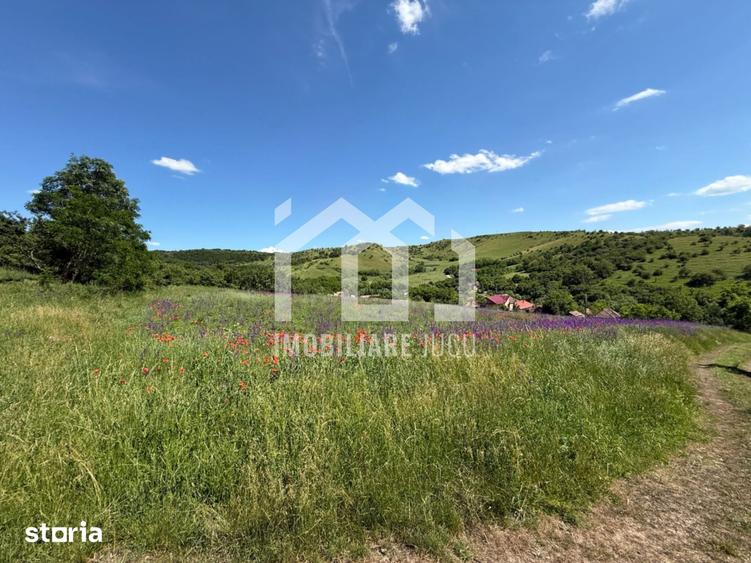 Teren de 2486 mp, în Jucu
