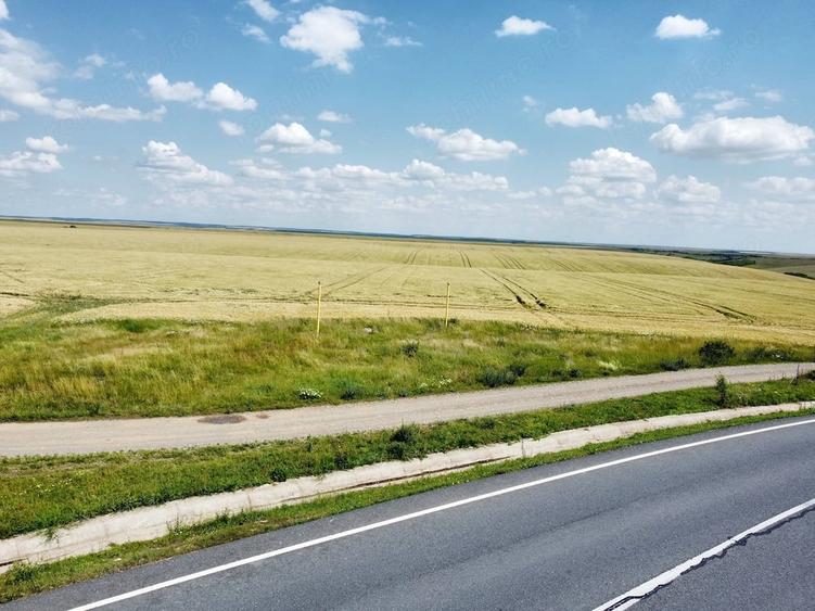 Teren de 30588 mp, în Orțișoara
