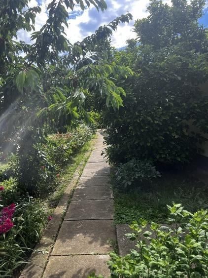 Casă cu 4 camere în Ciorani