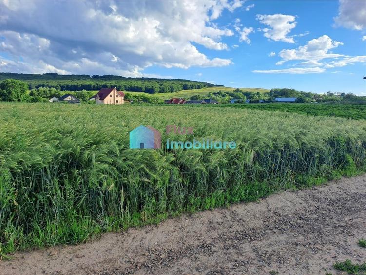Teren intravilan in Reuseni, comuna Udesti - 8
