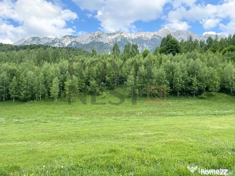 Teren de 12150 mp, în Plaiul Foii