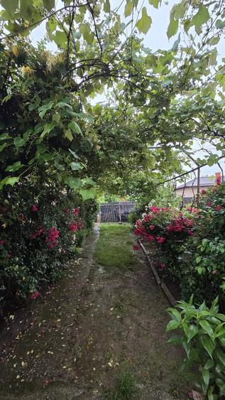Casă cu Teren 475 Mp în Brezoaia