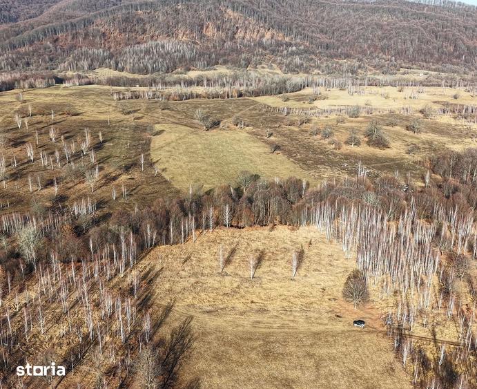 Teren de 24331 mp, în Șinca