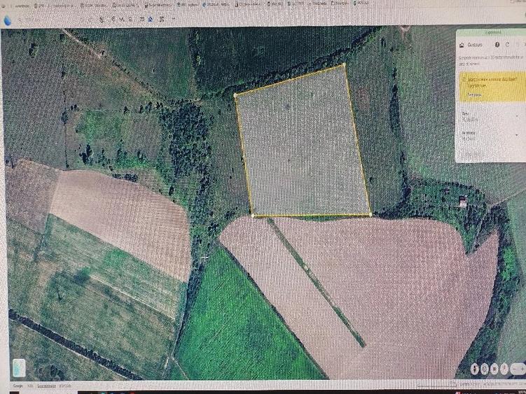 Teren de 45000 mp, în Exterior Vest