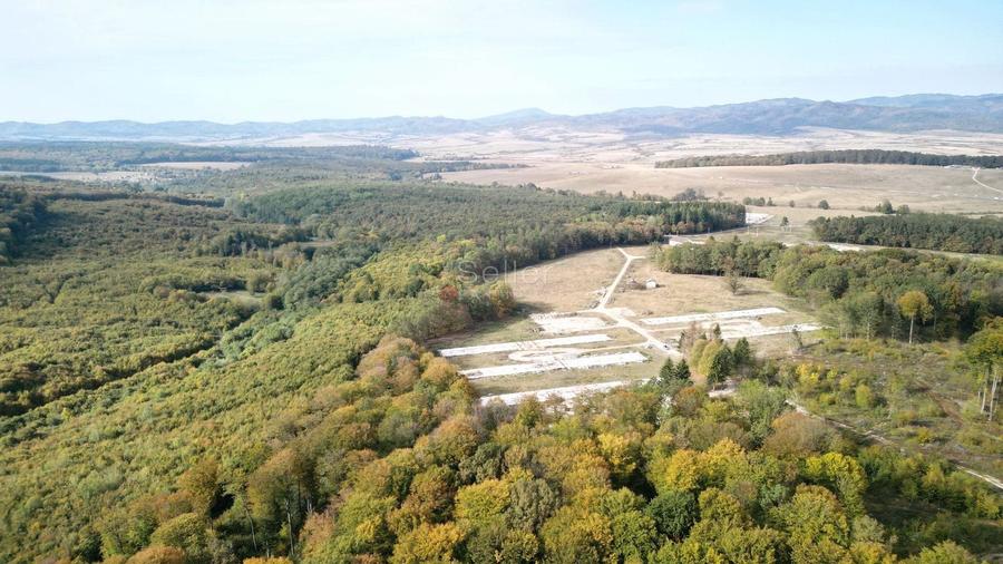 Teren Construcții intravilan de 186000 mp, în Exterior Vest